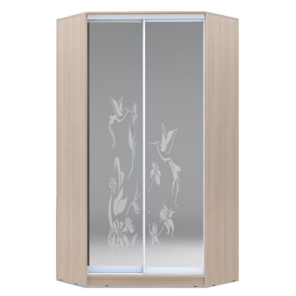 Угловой шкаф-купе Хит-У-23-4-66, 2300х1103х1103 Белый/Колибри