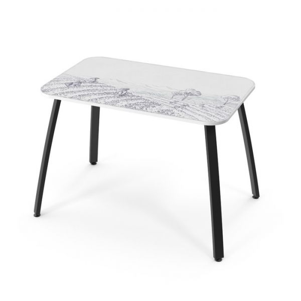 Обеденный стол Stalker, 1030 ? 640 ? 720 мм, ножки чёрные F2, цвет сборщики чая