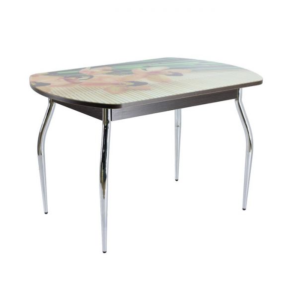 Стол раздвижной с фотопечатью Стин, 1100(1420)x700x760, Венге/Бамбук/Хром фигурные