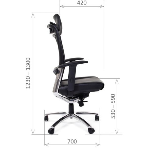 Офисное кресло Chairman Эрго 281, хром