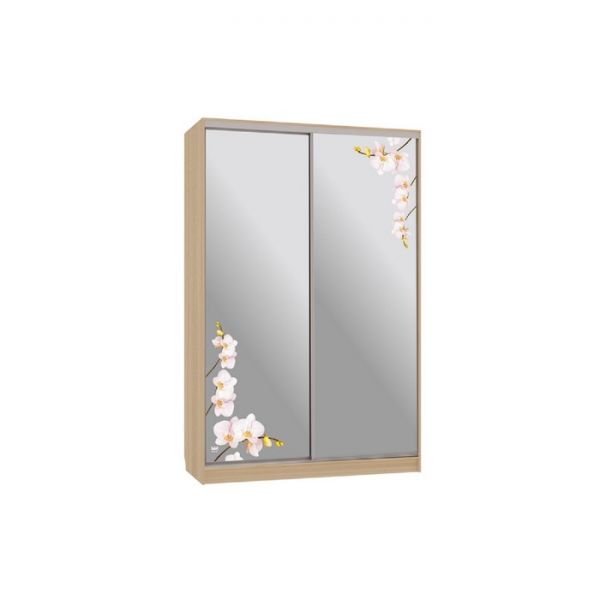 Шкаф-купе "Рио 4-600 орхидеи", 1200x600x2300, Дуб сонома