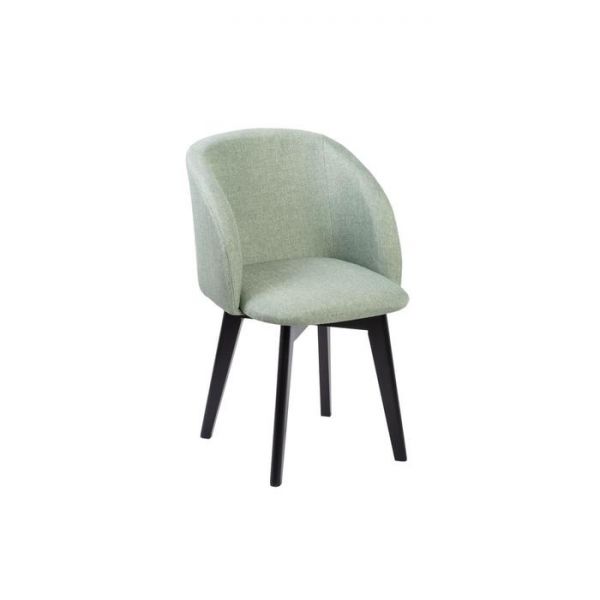 Стул Милли Мидеа 04 фисташка/ Компакт массив Черное дерево