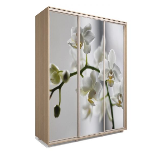 Шкаф-купе Яркий-222 2370х600х2300 Белый/Цветы 1