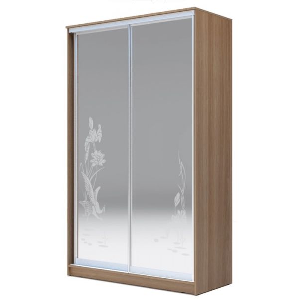 Шкаф-купе Хит-23-14-66 Ясень шимо тёмный, цапли