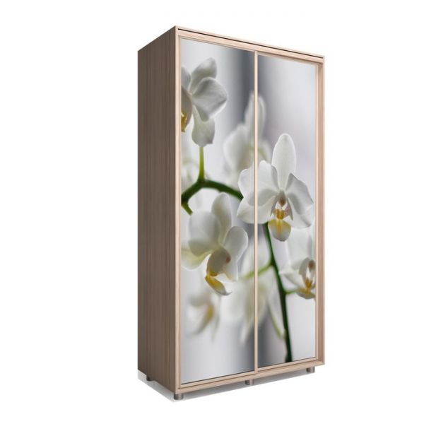 Шкаф-купе Яркий-22 1200х600х2300 Дуб Сонома/Цветы 1