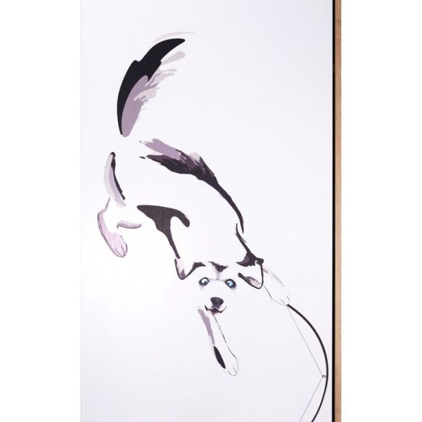 Шкаф для одежды Хаски-21 ирландский дуб/белый