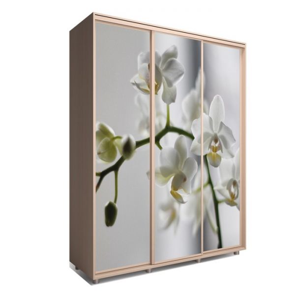 Шкаф-купе Яркий-222 1770х600х2300 Венге Светлый/Цветы 1