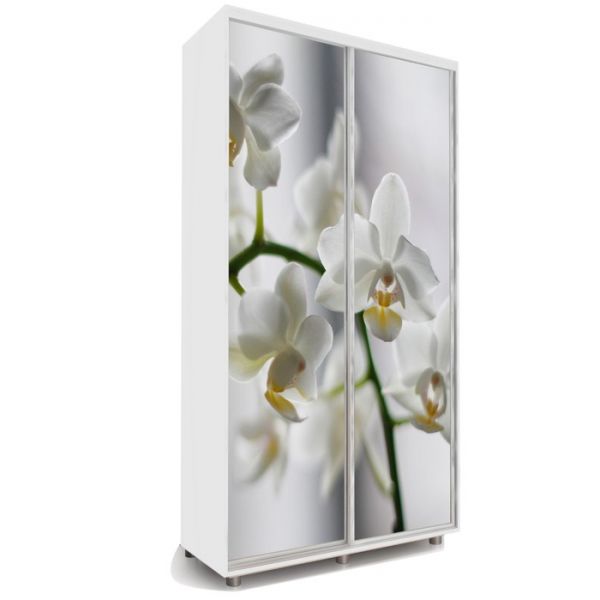 Шкаф-купе Яркий-22 1400х600х2300 Белый/Цветы 1