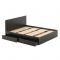 Кровать 1600 с ящиками и основанием Бетти, с/м 1600х2000, Черный
