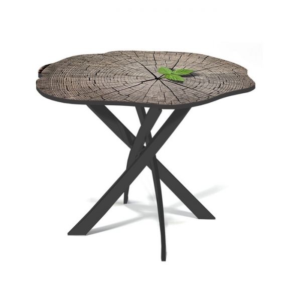 Обеденный стол «Спил 1», 900 ? 900 ? 750 мм, цвет чёрный / фотопечать 281202719